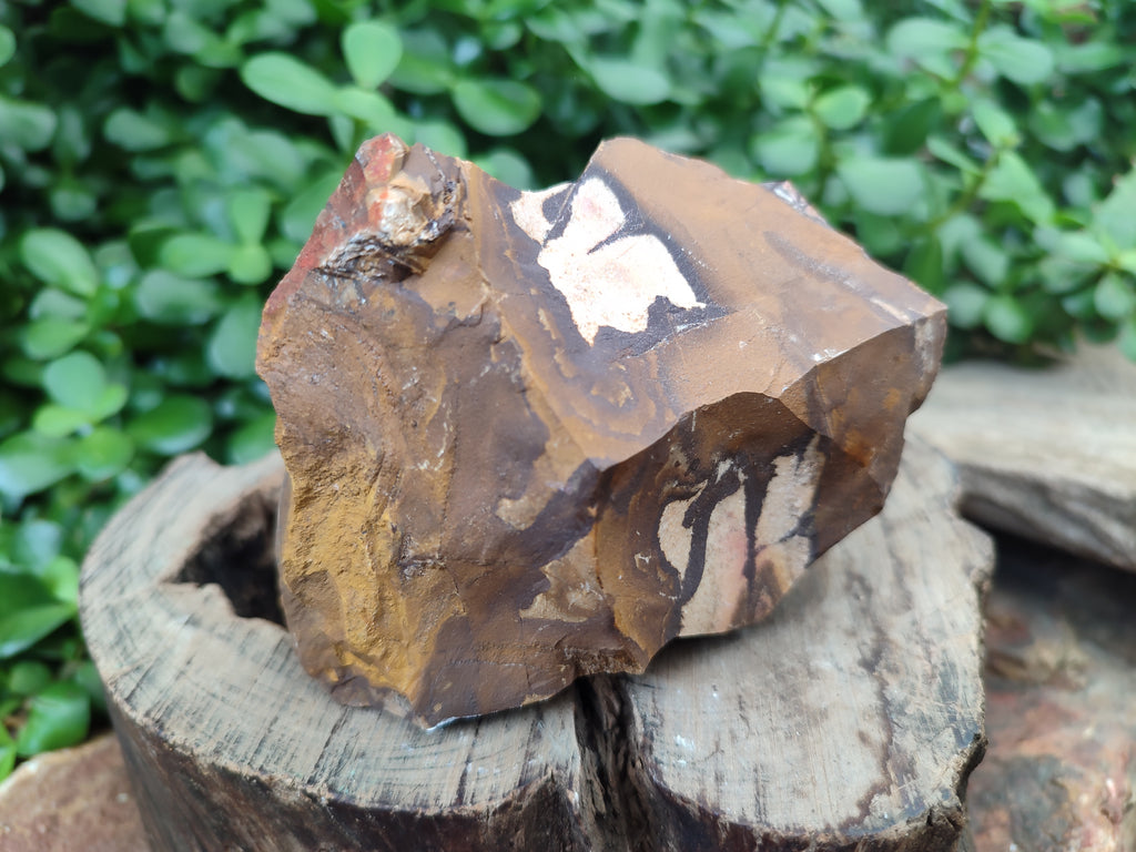 Natural Nguni Jasper Cobbed Specimens x 6 From Prieska, South Africa - Toprock Gemstones and Minerals 