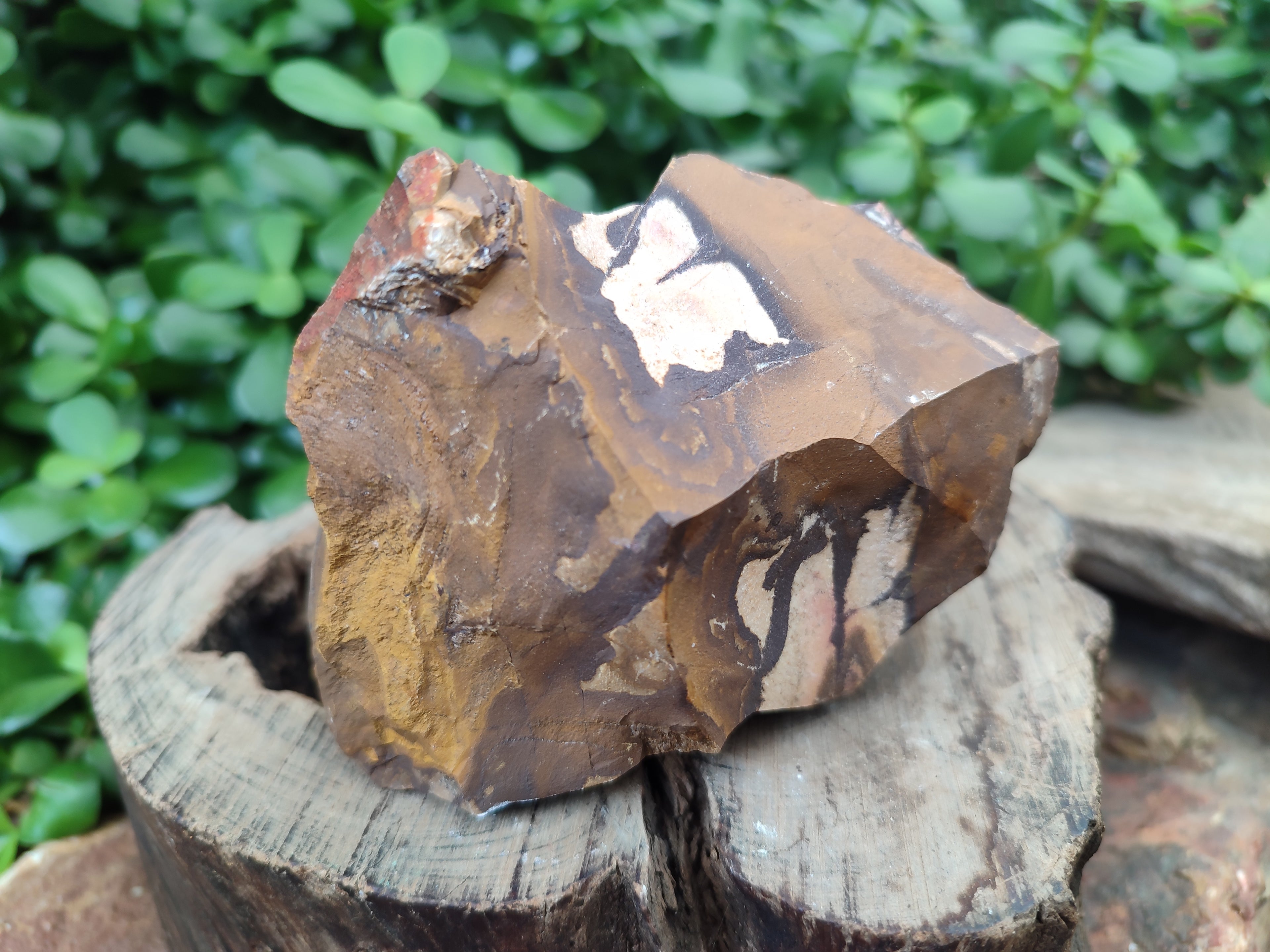 Natural Nguni Jasper Cobbed Specimens x 6 From Prieska, South Africa - Toprock Gemstones and Minerals 