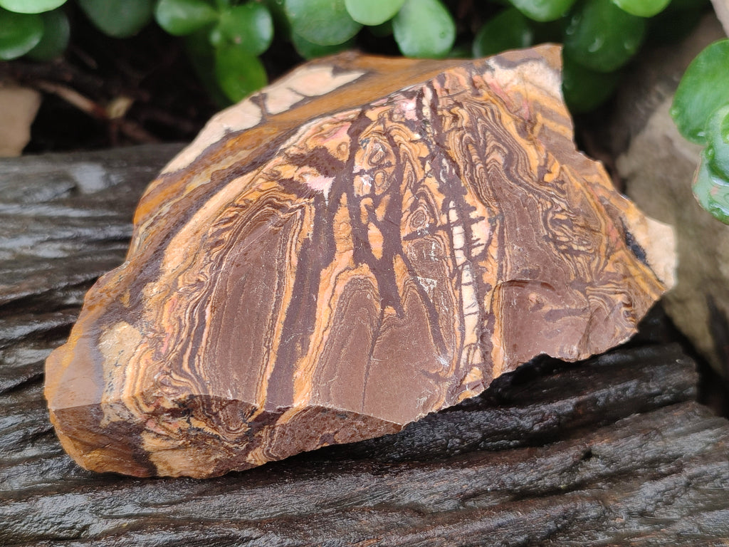 Natural Nguni Jasper Cobbed Specimens x 6 From Prieska, South Africa - Toprock Gemstones and Minerals 