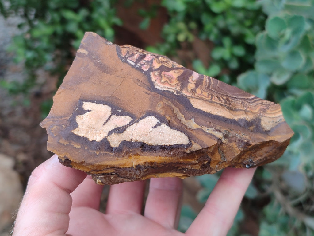 Natural Nguni Jasper Cobbed Specimens x 6 From Prieska, South Africa - Toprock Gemstones and Minerals 