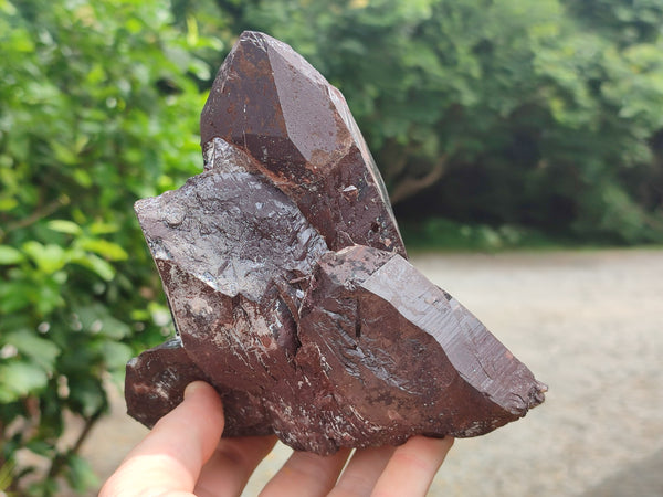 Natural Smokey Quartz Crystal Specimens x 2 From Zomba, Malawi - Toprock Gemstones and Minerals 