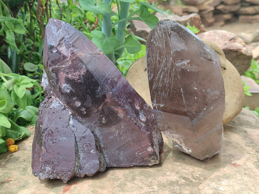 Natural Smokey Quartz Crystal Specimens x 2 From Zomba, Malawi - Toprock Gemstones and Minerals 