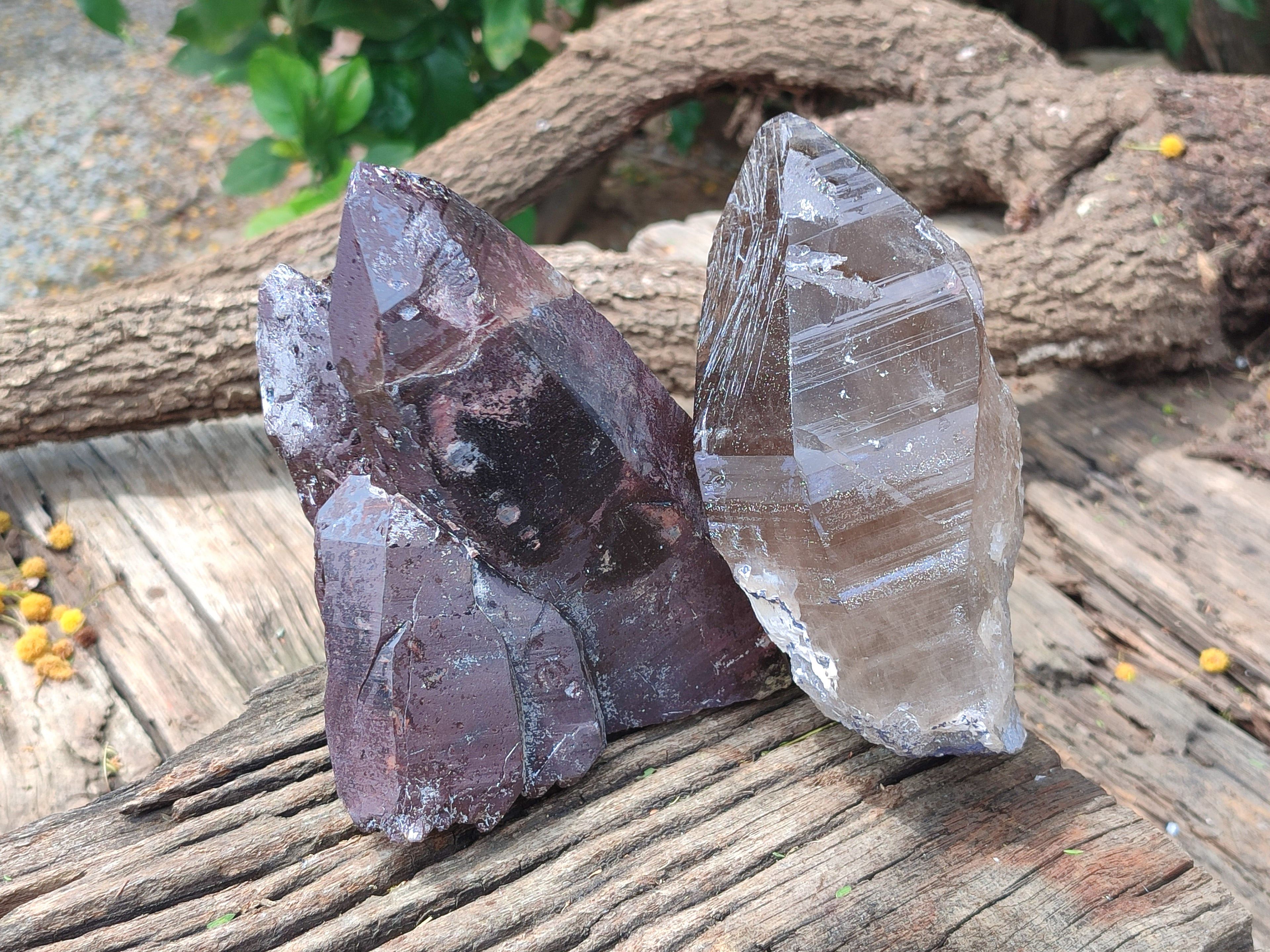 Natural Smokey Quartz Crystal Specimens x 2 From Zomba, Malawi - Toprock Gemstones and Minerals 