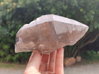 Natural Smokey Quartz Crystal Specimens x 2 From Zomba, Malawi - Toprock Gemstones and Minerals 