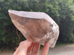 Natural Smokey Quartz Crystal Specimens x 2 From Zomba, Malawi - Toprock Gemstones and Minerals 