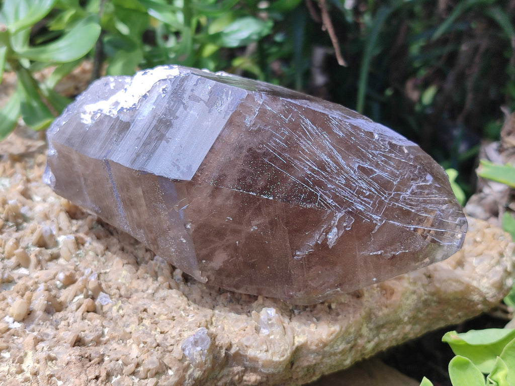 Natural Smokey Quartz Crystal Specimens x 2 From Zomba, Malawi - Toprock Gemstones and Minerals 