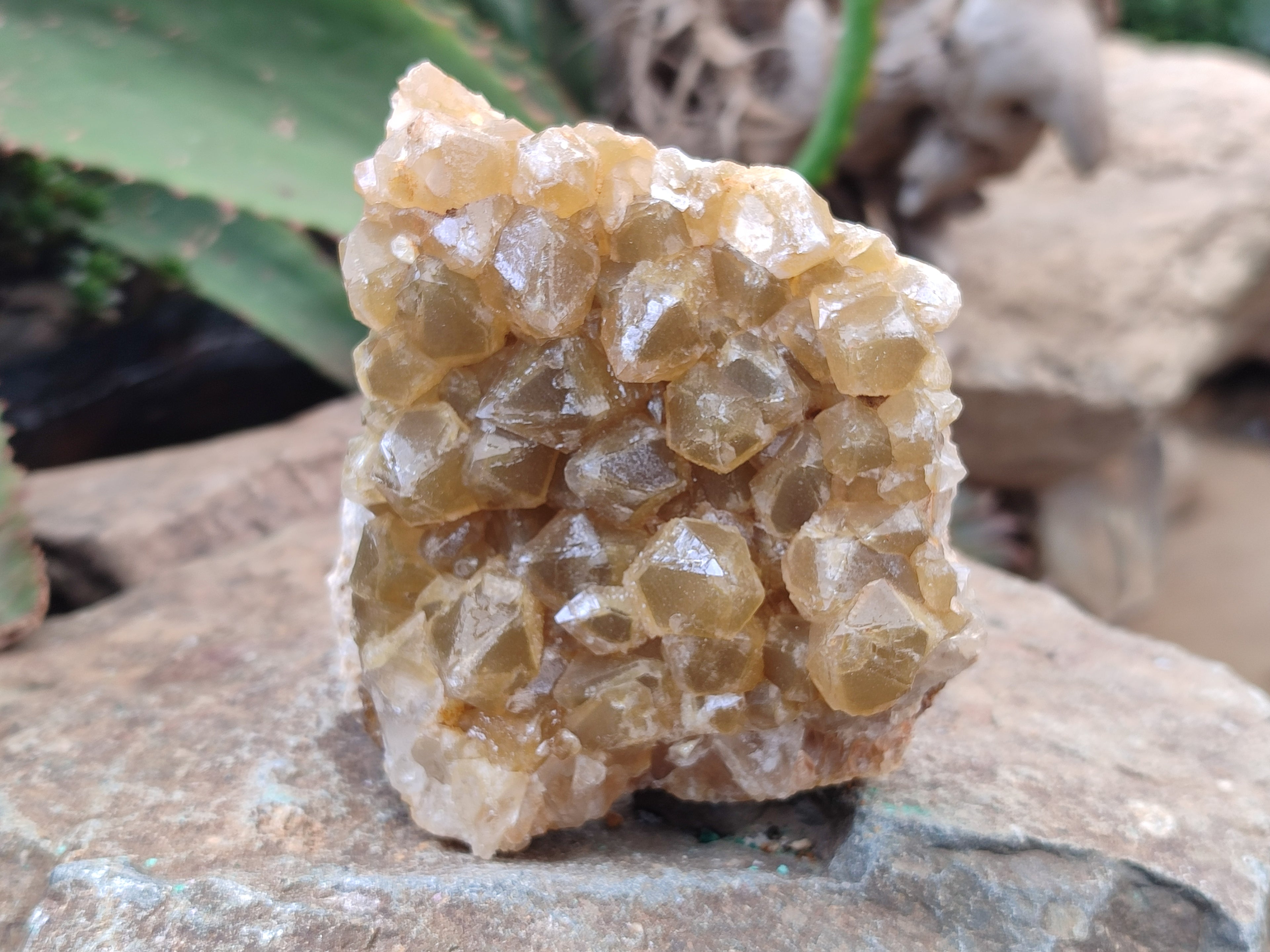 Natural Limonite Quartz Geodes x 12 From Solwezi, Zambia - Toprock Gemstones and Minerals 