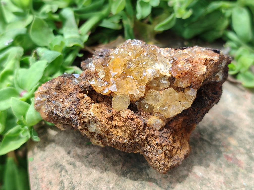 Natural Limonite Quartz Geodes x 12 From Solwezi, Zambia - Toprock Gemstones and Minerals 