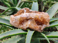 Natural Limonite Quartz Geodes x 12 From Solwezi, Zambia - Toprock Gemstones and Minerals 