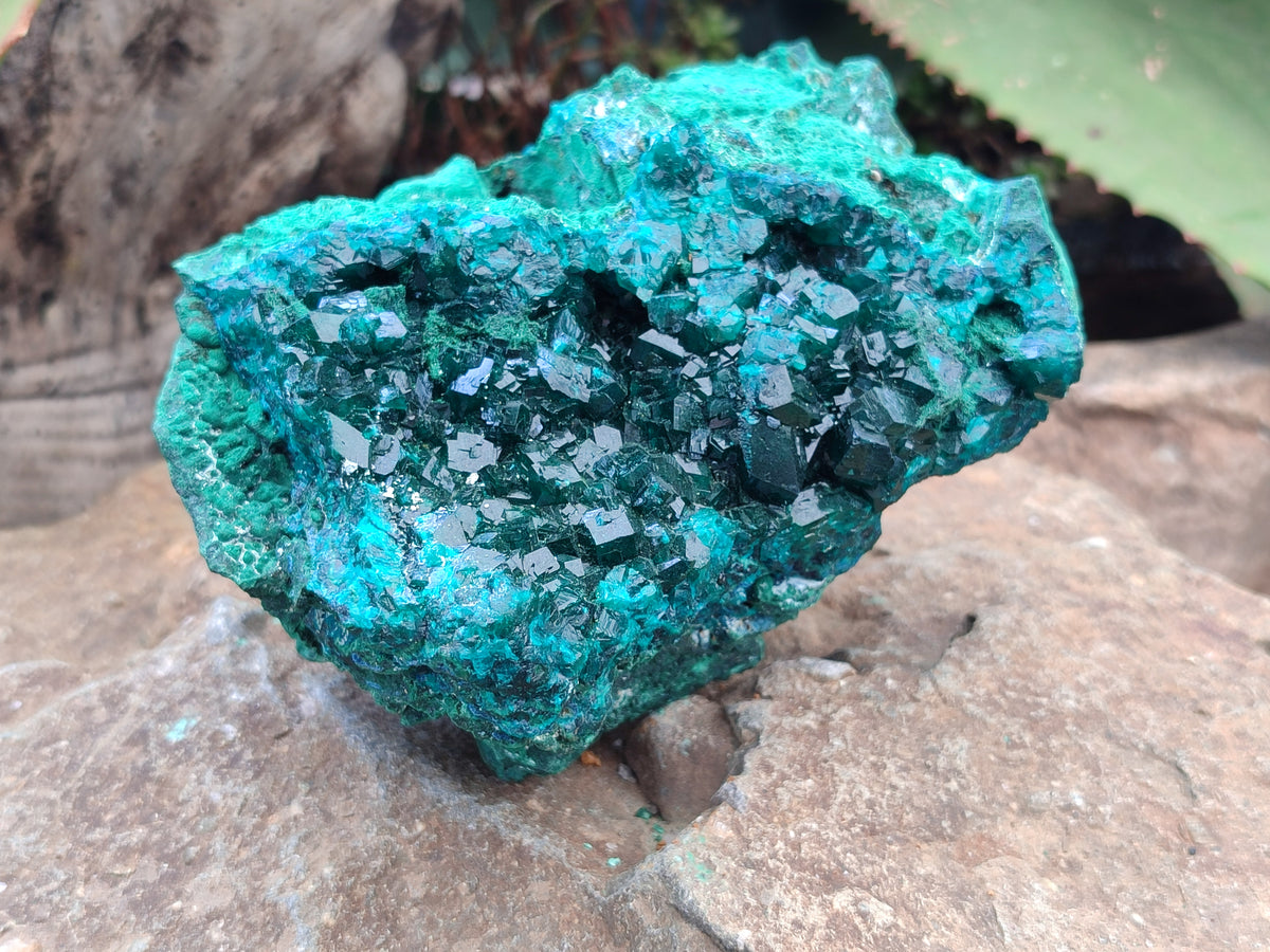 Natural Dioptase Cabinet Specimen x 1 From Reneville Brazzaville, Congo - Toprock Gemstones and Minerals 