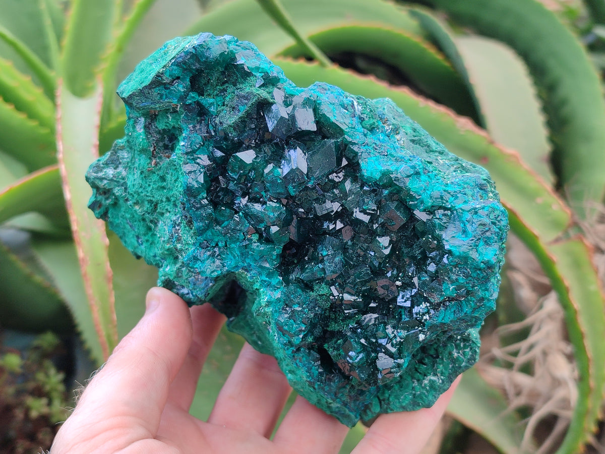 Natural Dioptase Cabinet Specimen x 1 From Reneville Brazzaville, Congo - Toprock Gemstones and Minerals 