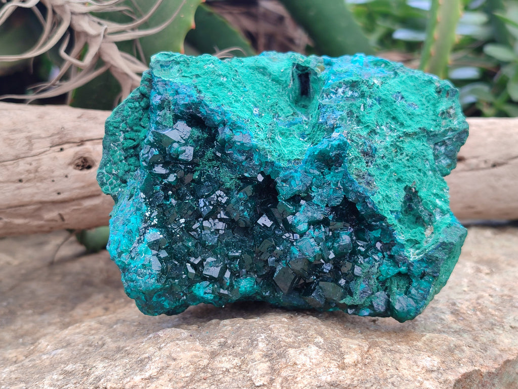 Natural Dioptase Cabinet Specimen x 1 From Reneville Brazzaville, Congo - Toprock Gemstones and Minerals 