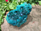 Natural Dioptase Cabinet Specimen x 1 From Reneville Brazzaville, Congo - Toprock Gemstones and Minerals 