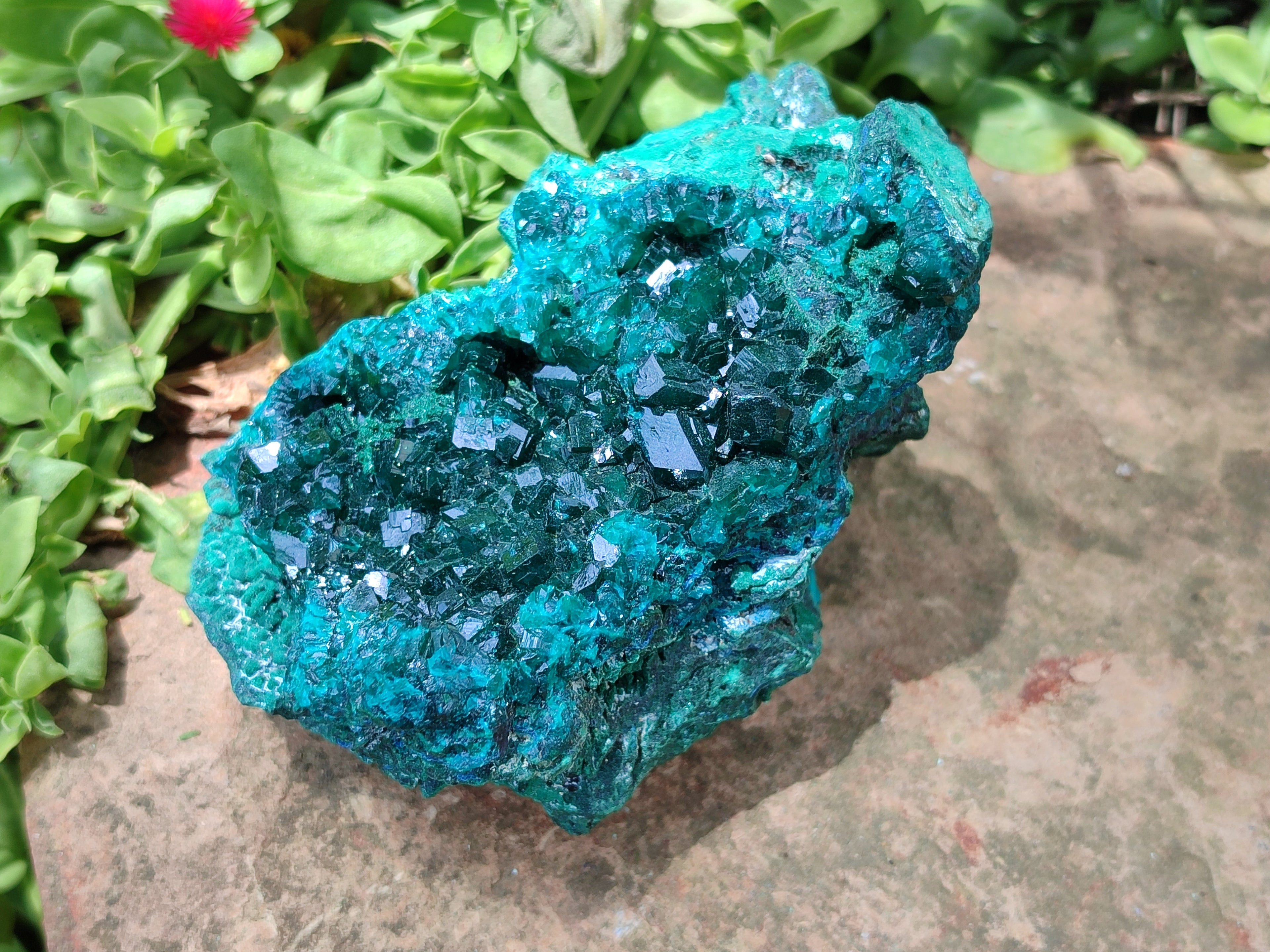 Natural Dioptase Cabinet Specimen x 1 From Reneville Brazzaville, Congo - Toprock Gemstones and Minerals 