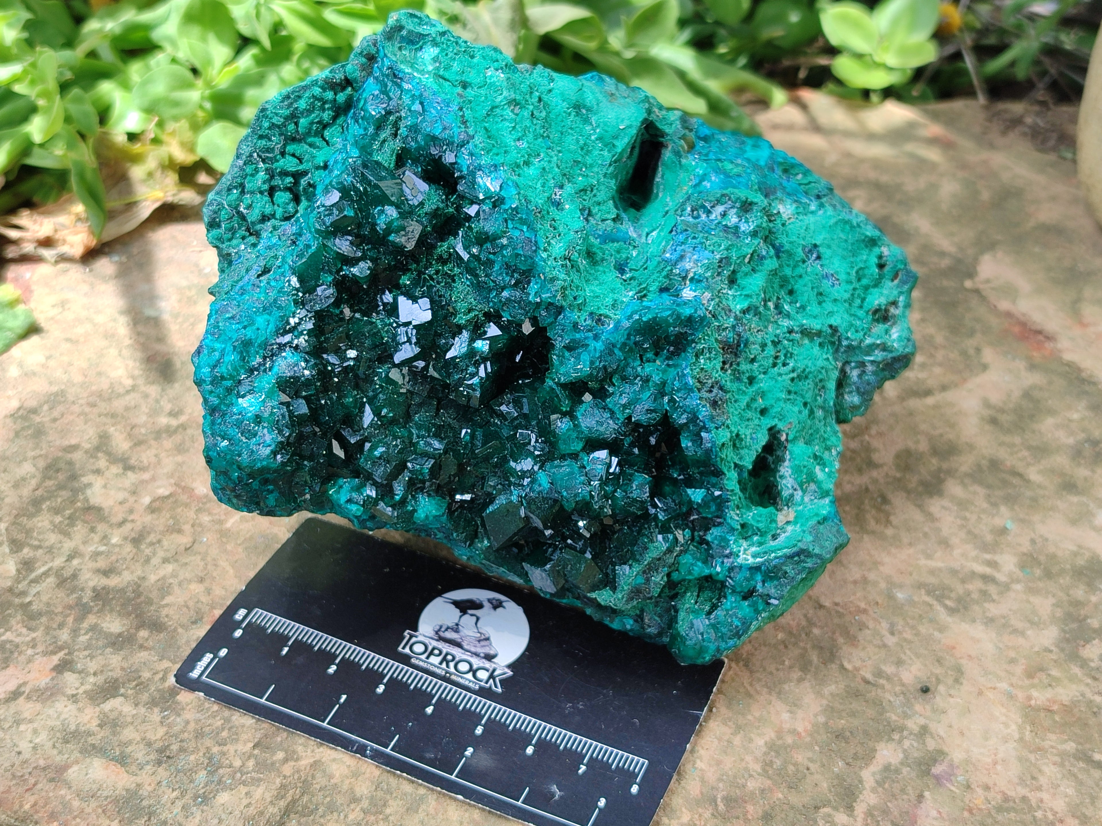 Natural Dioptase Cabinet Specimen x 1 From Reneville Brazzaville, Congo - Toprock Gemstones and Minerals 