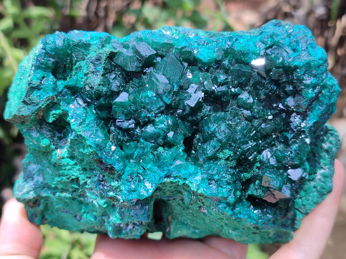 Natural Dioptase Cabinet Specimen x 1 From Reneville Brazzaville, Congo - Toprock Gemstones and Minerals 
