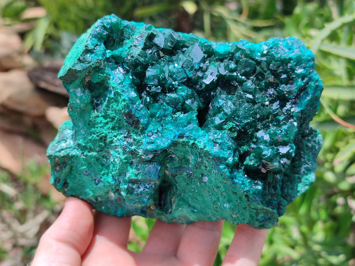 Natural Dioptase Cabinet Specimen x 1 From Reneville Brazzaville, Congo - Toprock Gemstones and Minerals 