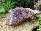 Natural Zululand Amethyst Geodes x 2 from Jozini, South Africa - Toprock Gemstones and Minerals 