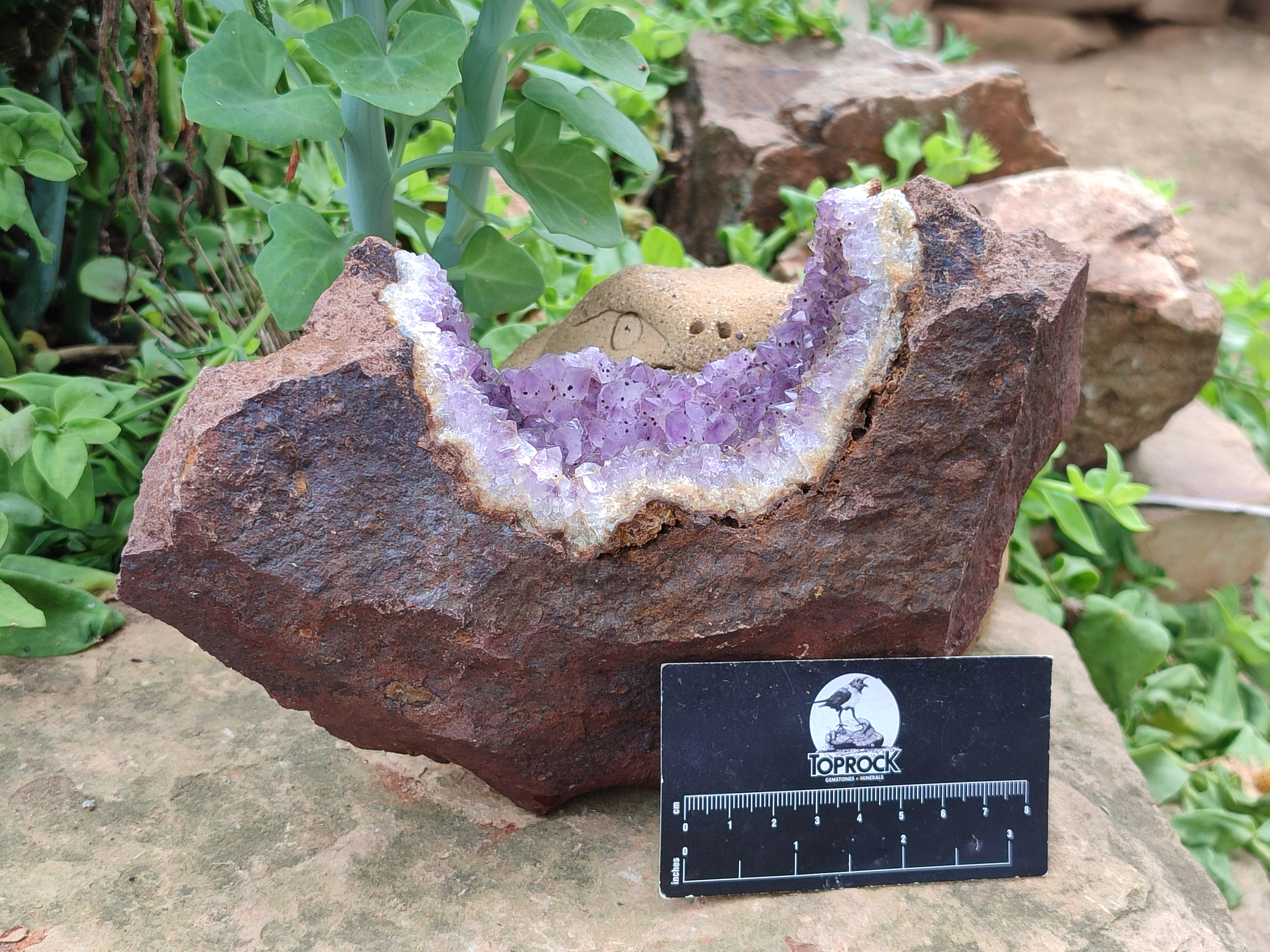 Natural Zululand Amethyst Geodes x 2 from Jozini, South Africa - Toprock Gemstones and Minerals 