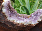 Natural Zululand Amethyst Geodes x 2 from Jozini, South Africa - Toprock Gemstones and Minerals 