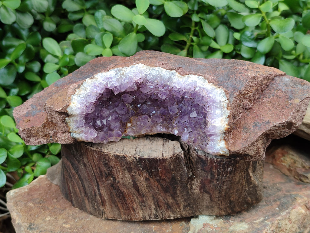 Natural Zululand Amethyst Geodes x 2 from Jozini, South Africa - Toprock Gemstones and Minerals 