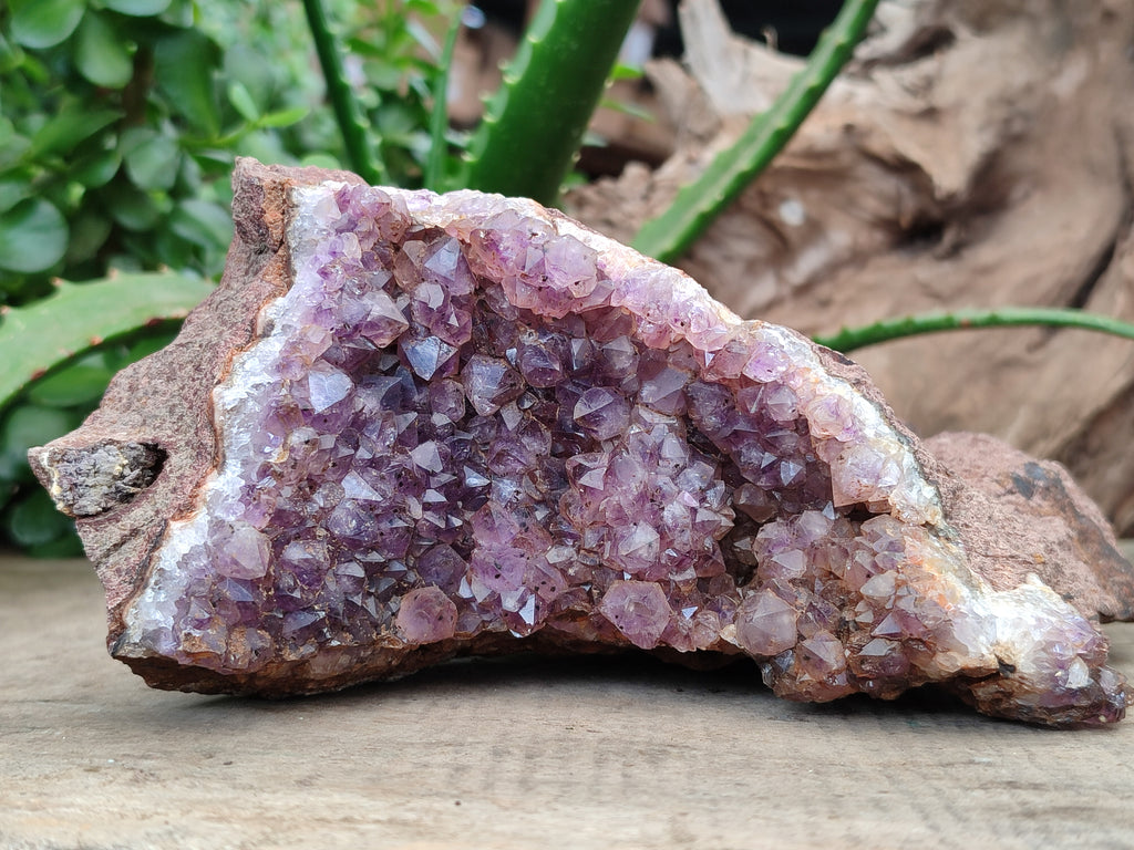 Natural Zululand Amethyst Geodes x 2 from Jozini, South Africa - Toprock Gemstones and Minerals 