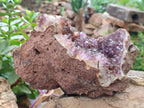 Natural Zululand Amethyst Geodes x 2 from Jozini, South Africa - Toprock Gemstones and Minerals 