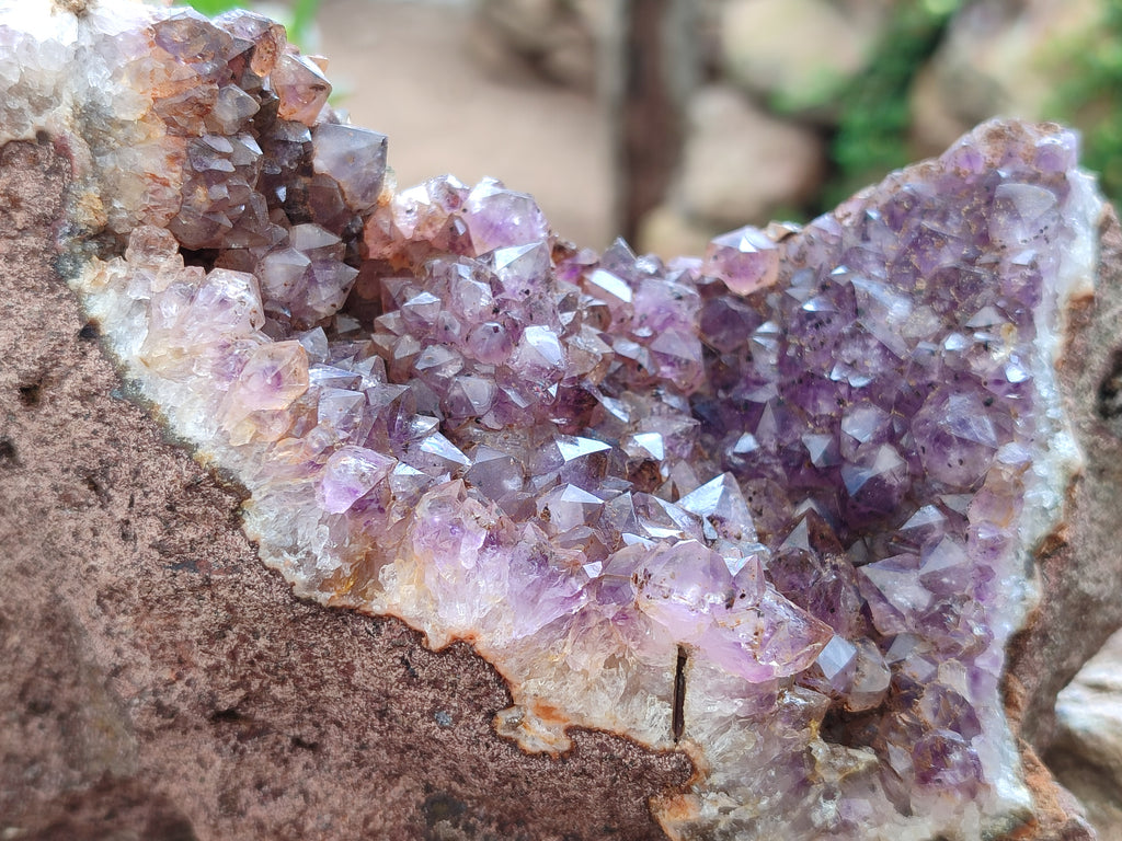 Natural Zululand Amethyst Geodes x 2 from Jozini, South Africa - Toprock Gemstones and Minerals 