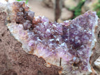 Natural Zululand Amethyst Geodes x 2 from Jozini, South Africa - Toprock Gemstones and Minerals 
