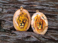 Polished Picture Stone Oval Pendant with Hand Painted Lion - Sold Per Item - From Namibia - Toprock Gemstones and Minerals 