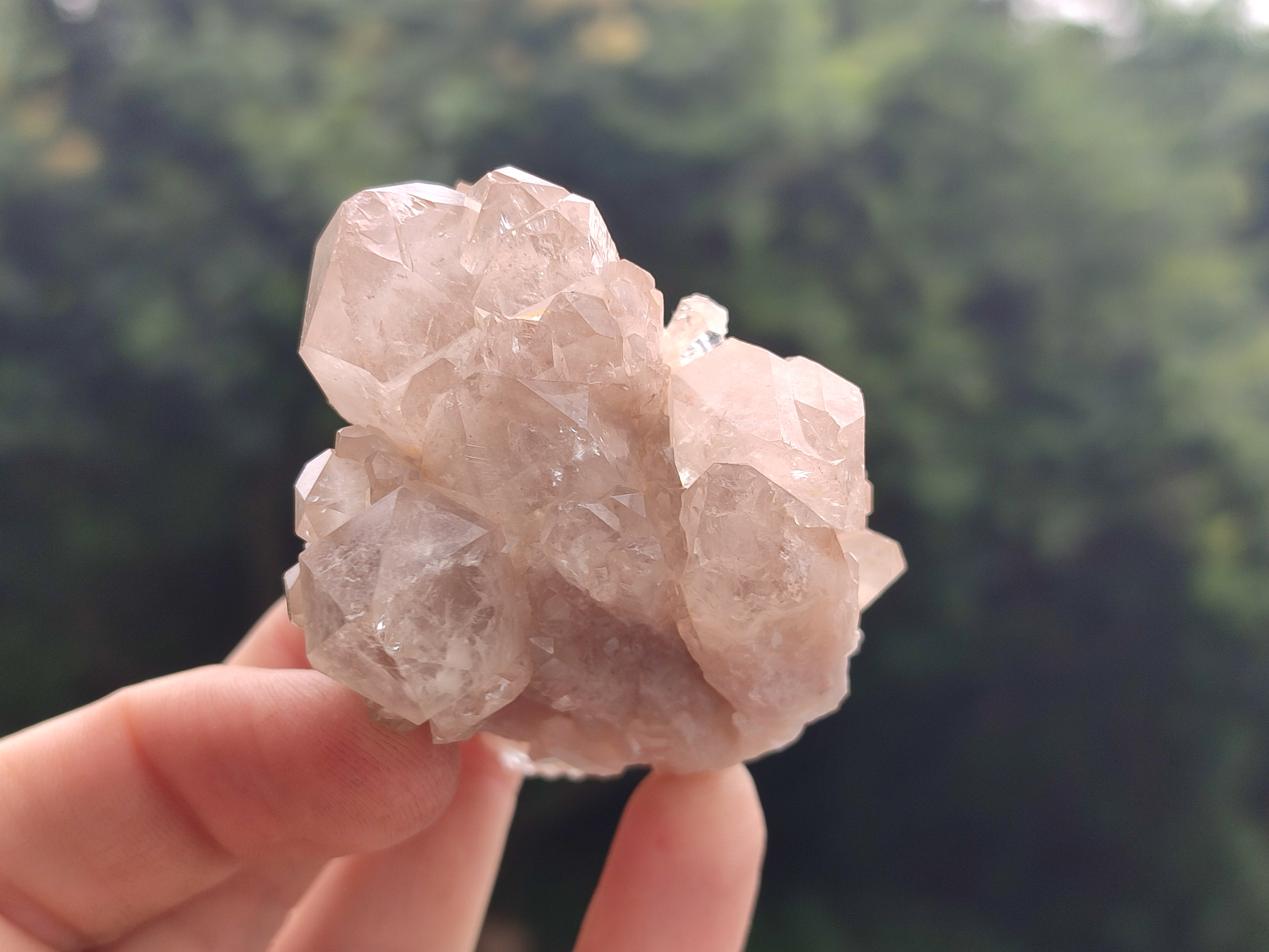 Natural Smokey Phantom Quartz Clusters x 12 From Luena, Congo - Toprock Gemstones and Minerals 