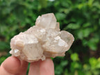 Natural Smokey Phantom Quartz Clusters x 12 From Luena, Congo - Toprock Gemstones and Minerals 