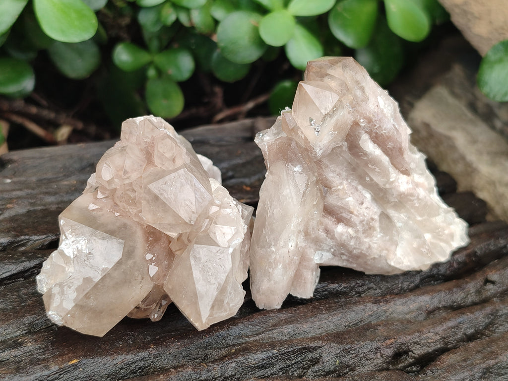 Natural Smokey Phantom Quartz Clusters x 12 From Luena, Congo - Toprock Gemstones and Minerals 