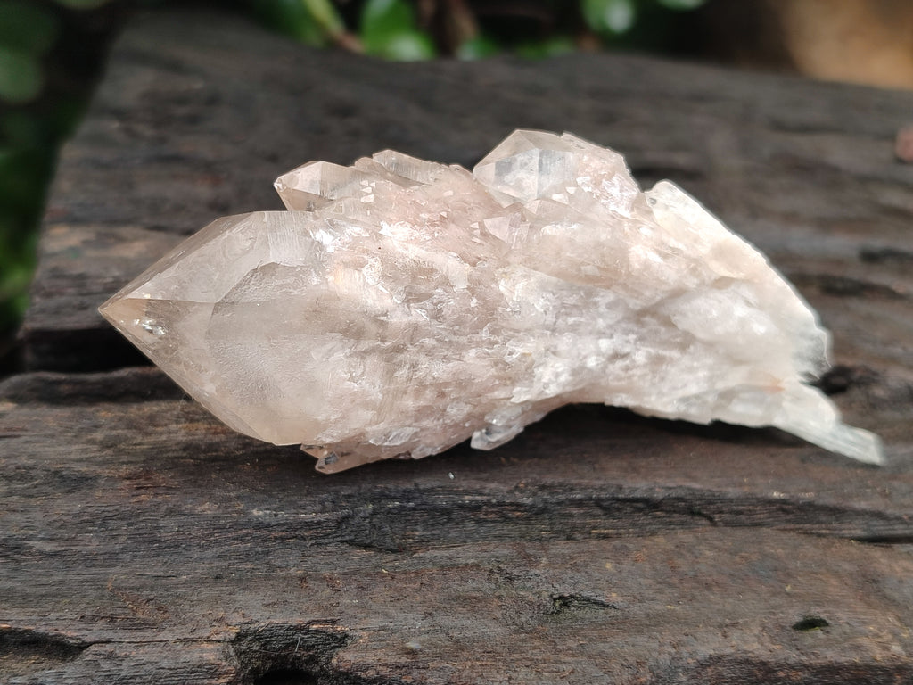 Natural Smokey Phantom Quartz Clusters x 12 From Luena, Congo - Toprock Gemstones and Minerals 