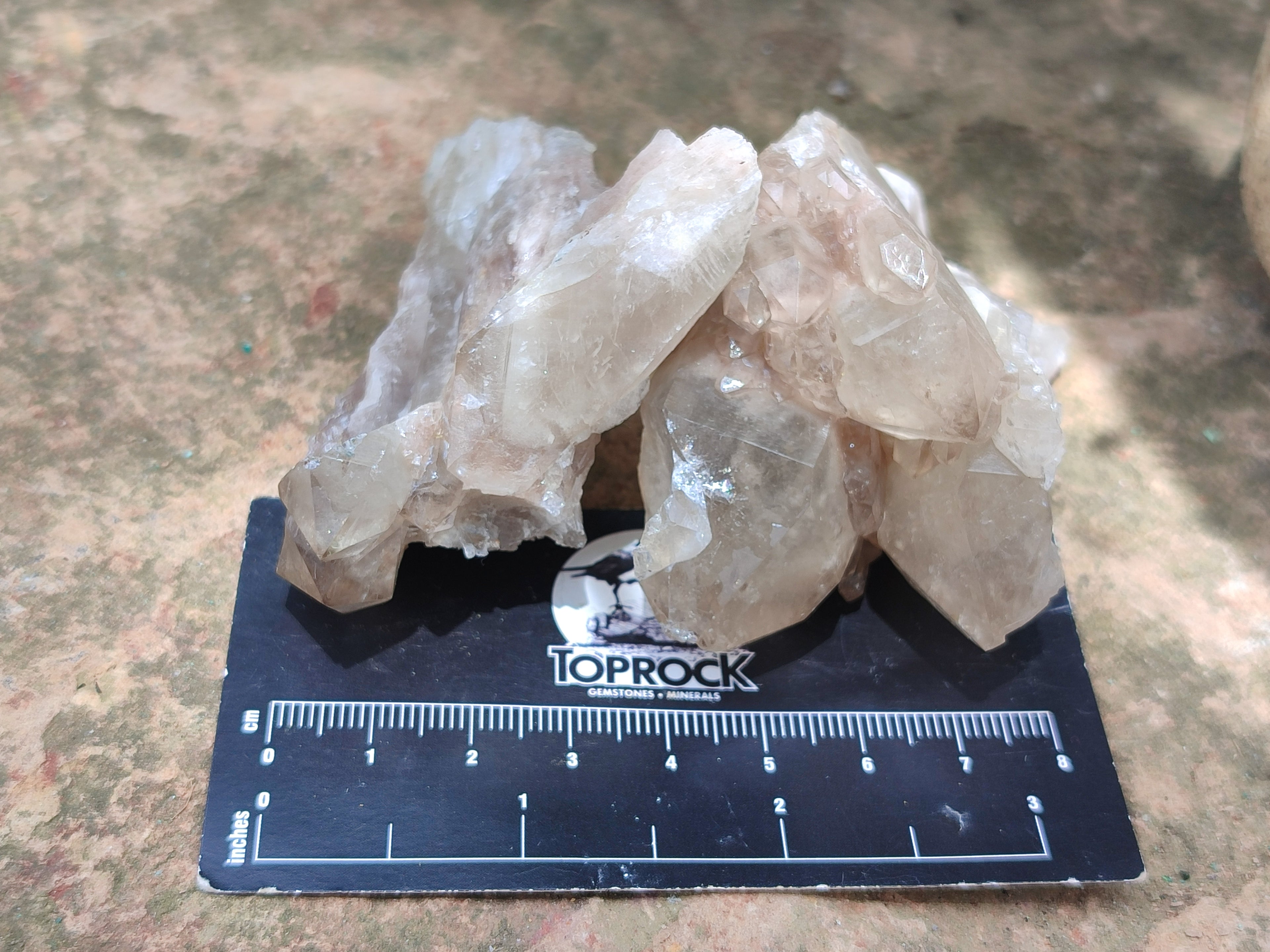 Natural Smokey Phantom Quartz Clusters x 12 From Luena, Congo - Toprock Gemstones and Minerals 