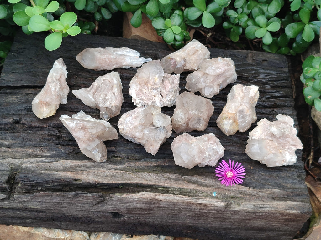 Natural Smokey Phantom Quartz Clusters x 12 From Luena, Congo - Toprock Gemstones and Minerals 