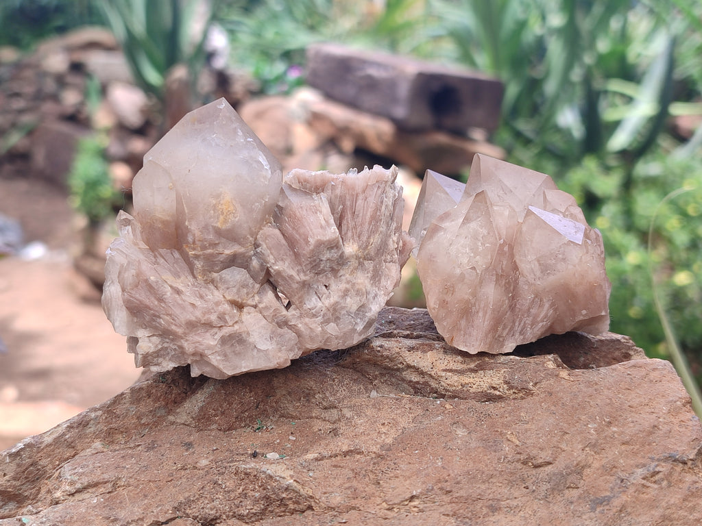 Natural Smokey Phantom Quartz Clusters x 12 From Luena, Congo - Toprock Gemstones and Minerals 