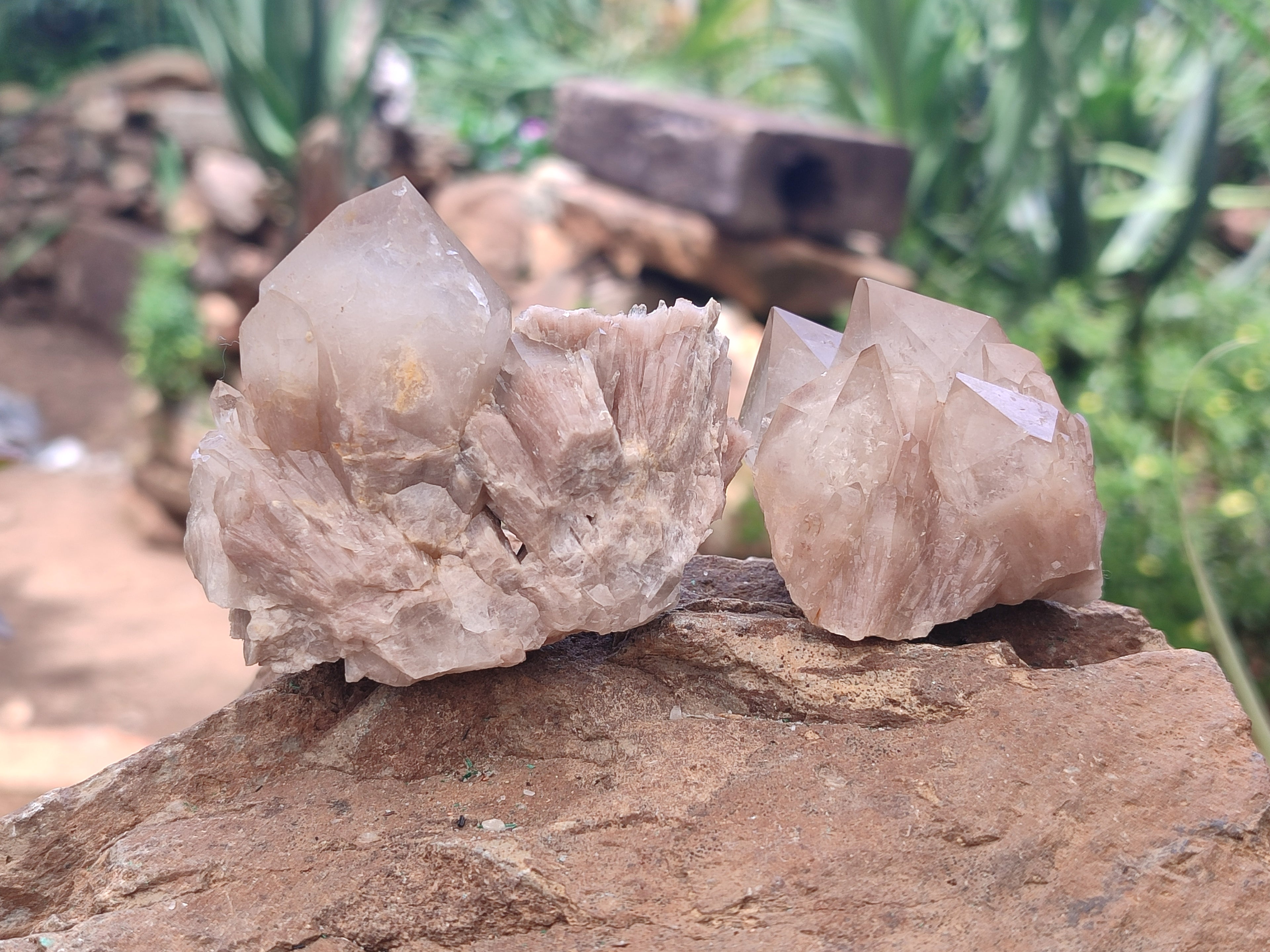 Natural Smokey Phantom Quartz Clusters x 12 From Luena, Congo - Toprock Gemstones and Minerals 