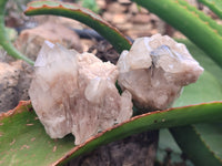 Natural Smokey Phantom Quartz Clusters x 12 From Luena, Congo - Toprock Gemstones and Minerals 
