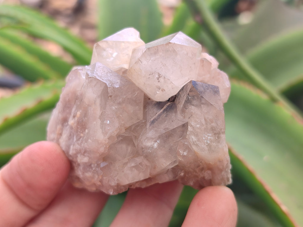 Natural Smokey Phantom Quartz Clusters x 12 From Luena, Congo - Toprock Gemstones and Minerals 