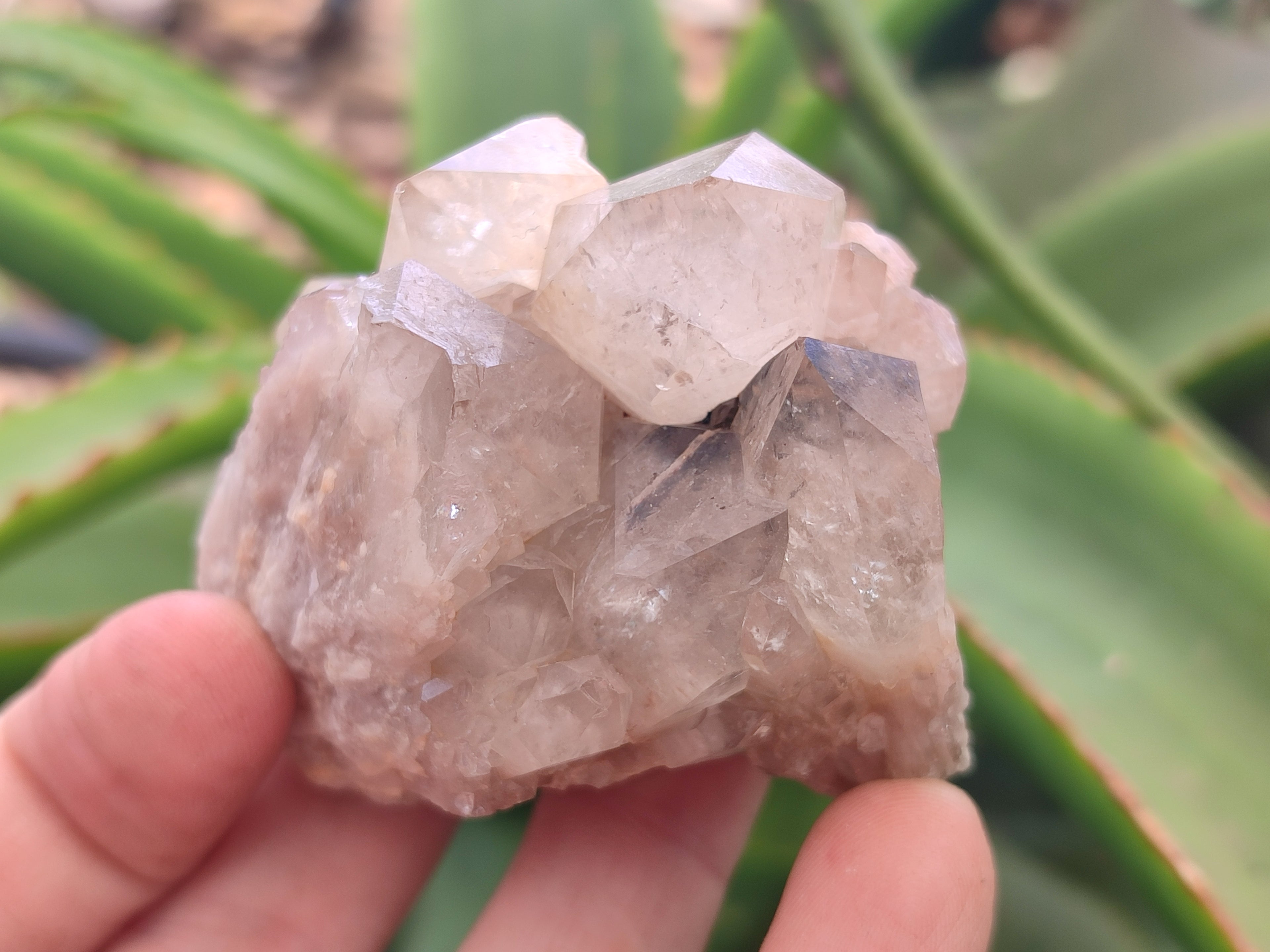 Natural Smokey Phantom Quartz Clusters x 12 From Luena, Congo - Toprock Gemstones and Minerals 