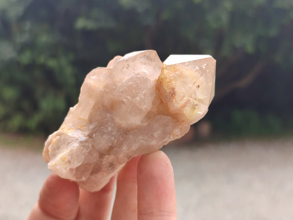Natural Smokey Phantom Quartz Clusters x 12 From Luena, Congo - Toprock Gemstones and Minerals 