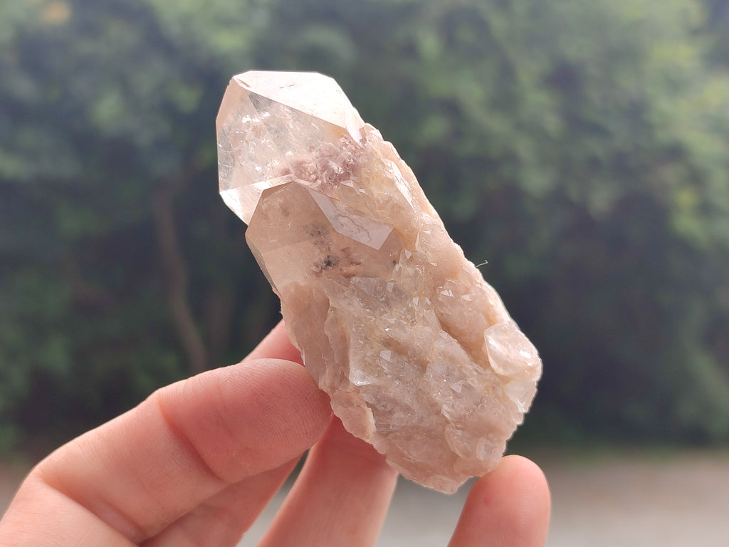 Natural Smokey Phantom Quartz Clusters x 12 From Luena, Congo - Toprock Gemstones and Minerals 