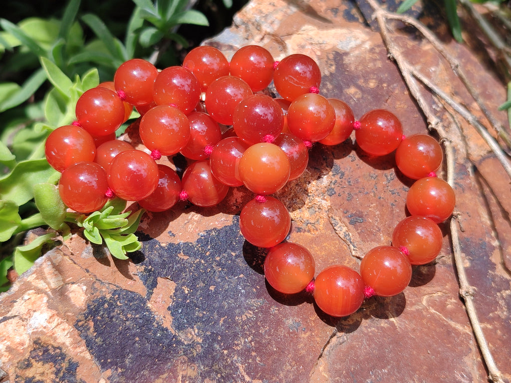 Polished Carnelian Agate Beaded Necklace - Sold per Item - From Brazil - Toprock Gemstones and Minerals 