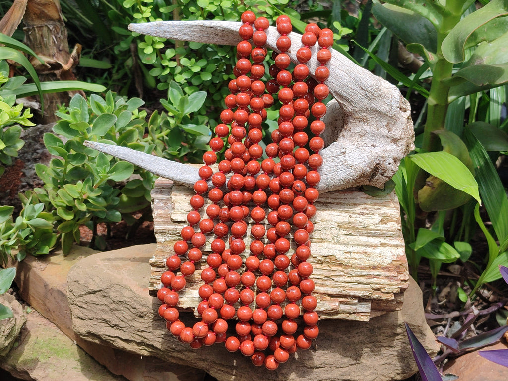 Polished Red Jasper Bead Necklace - Sold Per Item - From South Africa - Toprock Gemstones and Minerals 
