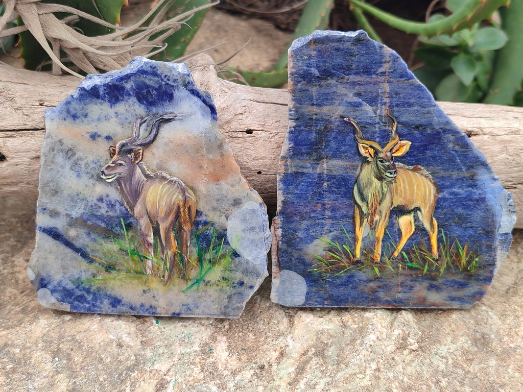 Hand Made Kudu Decoupage on Sodalite Stone Slabs - sold per item - From Namibia - Toprock Gemstones and Minerals 