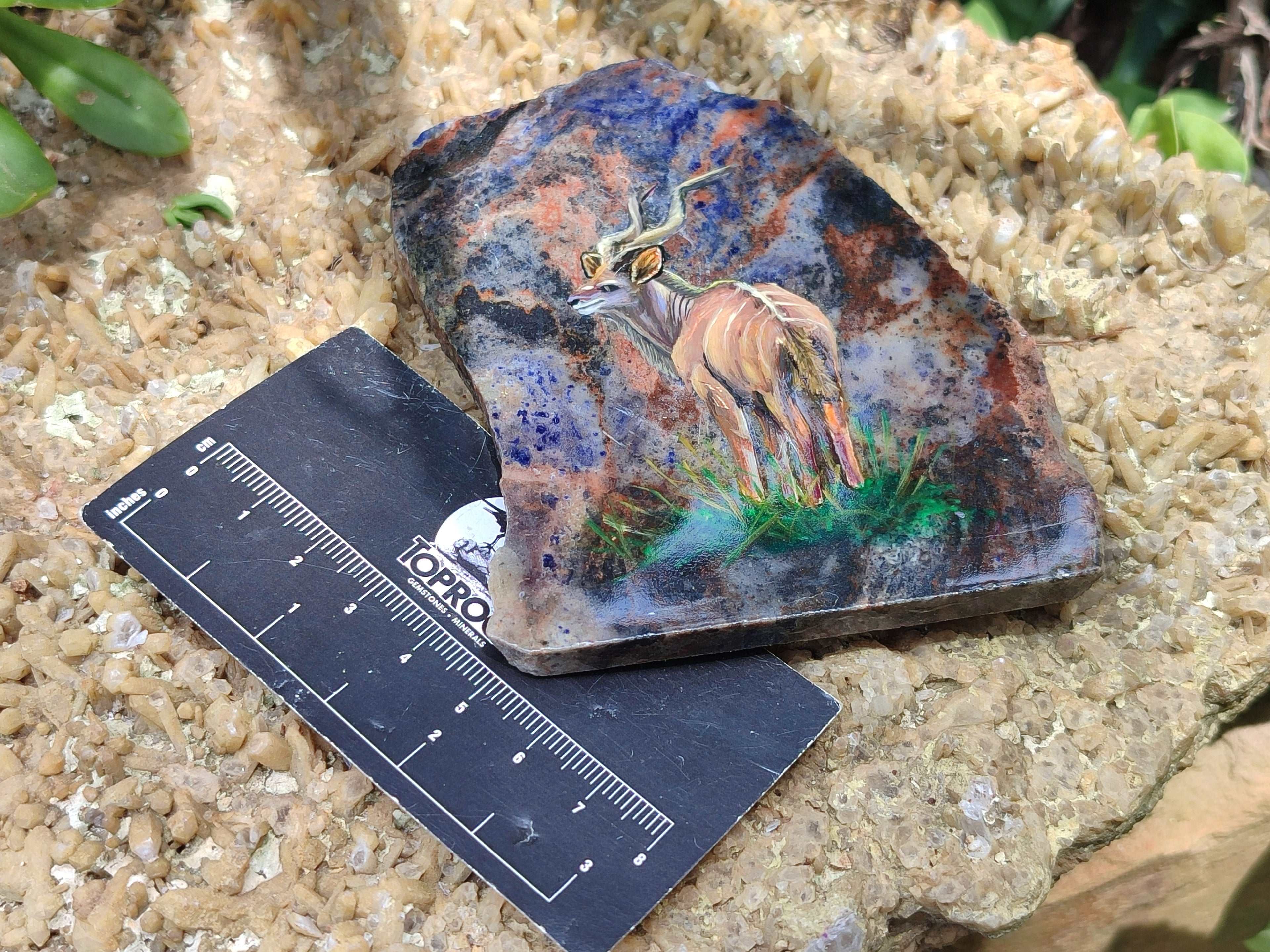 Hand Made Kudu Decoupage on Sodalite Stone Slabs - sold per item - From Namibia - Toprock Gemstones and Minerals 