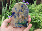Hand Made Kudu Decoupage on Sodalite Stone Slabs - sold per item - From Namibia - Toprock Gemstones and Minerals 
