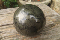Polished Pharaoh Stone Spheres x 3 From Zimbabwe - Toprock Gemstones and Minerals 