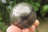 Polished Pharaoh Stone Spheres x 3 From Zimbabwe - Toprock Gemstones and Minerals 